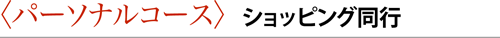 〈パーソナルコース〉
