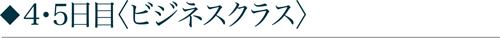 ◆4・5日目〈ビジネスクラス〉